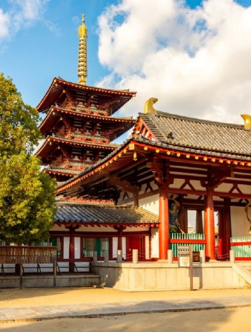 Explore the Old Town of Tokyo: Guided Walking Tour on Foot