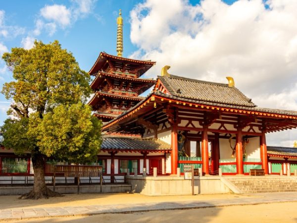 Explore the Old Town of Tokyo: Guided Walking Tour on Foot