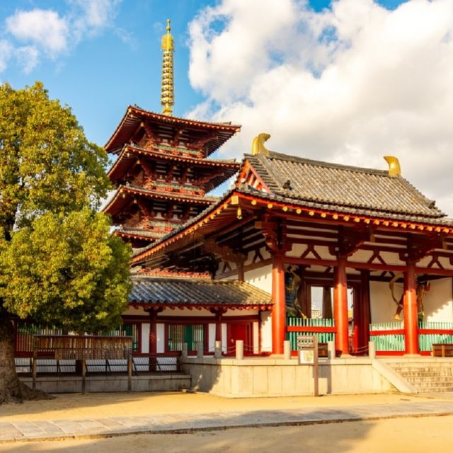 Explore the Old Town of Tokyo: Guided Walking Tour on Foot