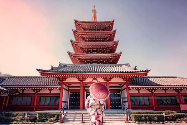 Best of Tokyo: Guided Half Day City Tour with a local