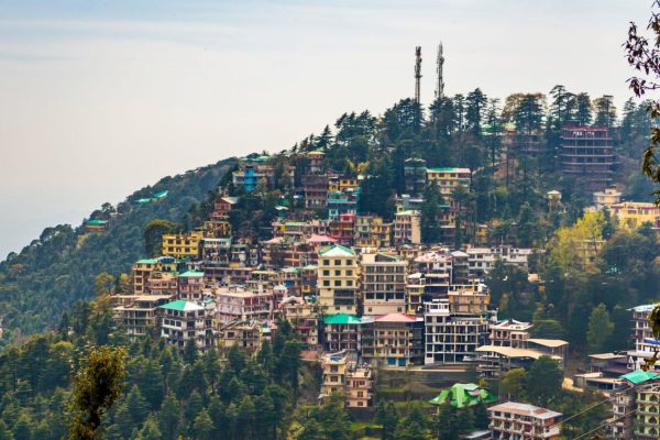 Discover Dharamshala: 8-Hours Guided Tour with a Local in AC Car