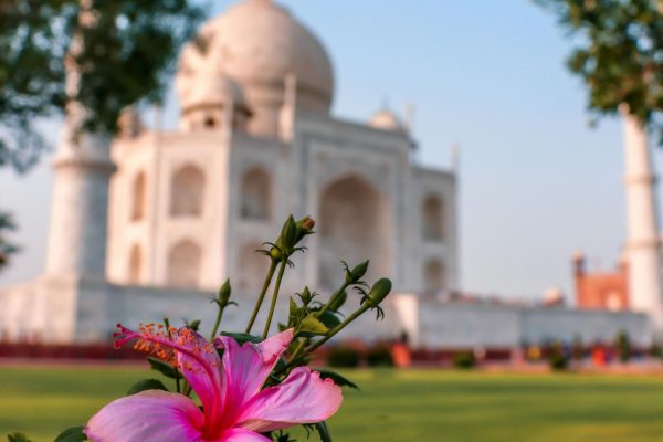 Explore the Best of Agra: Guided Half-Day City Tour in Car