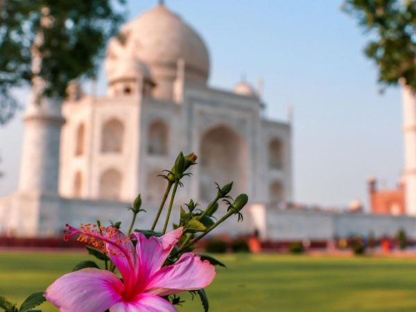 Explore the Best of Agra: Guided Half-Day City Tour in Car